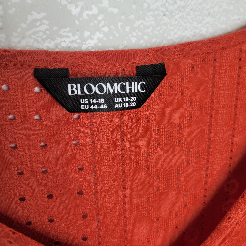 Bloomchic Rust Eyelet V Neck Blouse - image 2
